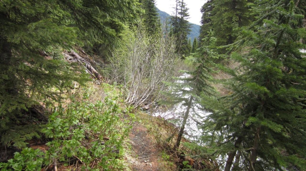 Shannon Creek Trail